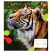 Зошит учнівський Animal 18 аркушів, клітинка. YES 764975 (4823092260048) (473351)