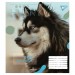 Зошит учнівський Animal 18 аркушів, клітинка. YES 764975 (4823092260048) (473351)