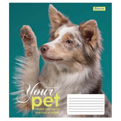 Зошит учнівський Dog loyality 24 аркуші, клітинка. 1 Вересня 765439 (4823092218773) (473344)