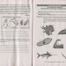 Біологія і екологія 11 клас Зошит для практикуму Профільний рівень (Укр) Літера Л1099У (9789669451064) (345084)