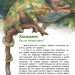 Книга Динозавры и другие пресмыкающиеся Манн, Иванов и Фербер (9785001176657 ) (312819)