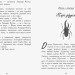 Книга Битва жуків Королева жуків (Укр) Ранок Ч874002У (9786170943934) (344440)