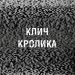 Клич кролика. П'ять ночей із Фредді. Жахастики Фазбера. Книга 5 – Скотт Коутон, Еллі Купер (Укр) BookChef (9786175483046) (549263)