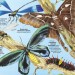 Велика книга комах. Емілі Боун (Укр) Артбукс (9786177940349) (477699)