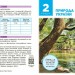 НУШ Географія 8 клас. Підручник – Довгань Г.Д. (Укр) Ранок (9786170995902) (548510)