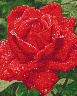 Картина за номерами "Ніжність троянди" 40х50 см Ідейка KHO3045 (4823104313311) (474945)