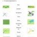 НУШ Я досліджую світ 4 клас. Робочий зошит-практикум. Частина 2. Воронцова Т.В. (Укр) Алатон (9786177834037) (465426)