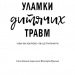 Уламки дитячих травм. Чому ми хворіємо і як це припинити. Донна Джексон Наказава (Укр) BookChef (9789669935946) (498880)
